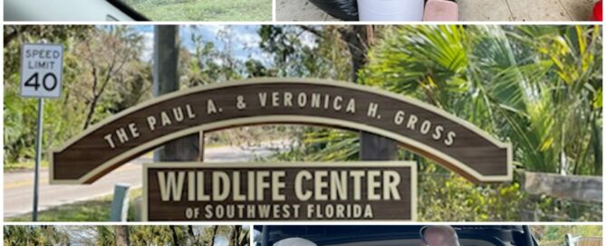 A collage of pictures showing the flooding at the center, the sign heading in, and the donations in the back of the truck and on the floor.