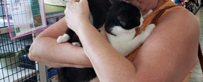 Buffy and Spike in the arms of their new mom.