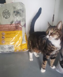 Munchin standing beside a bag of non-clumbing cat litter.