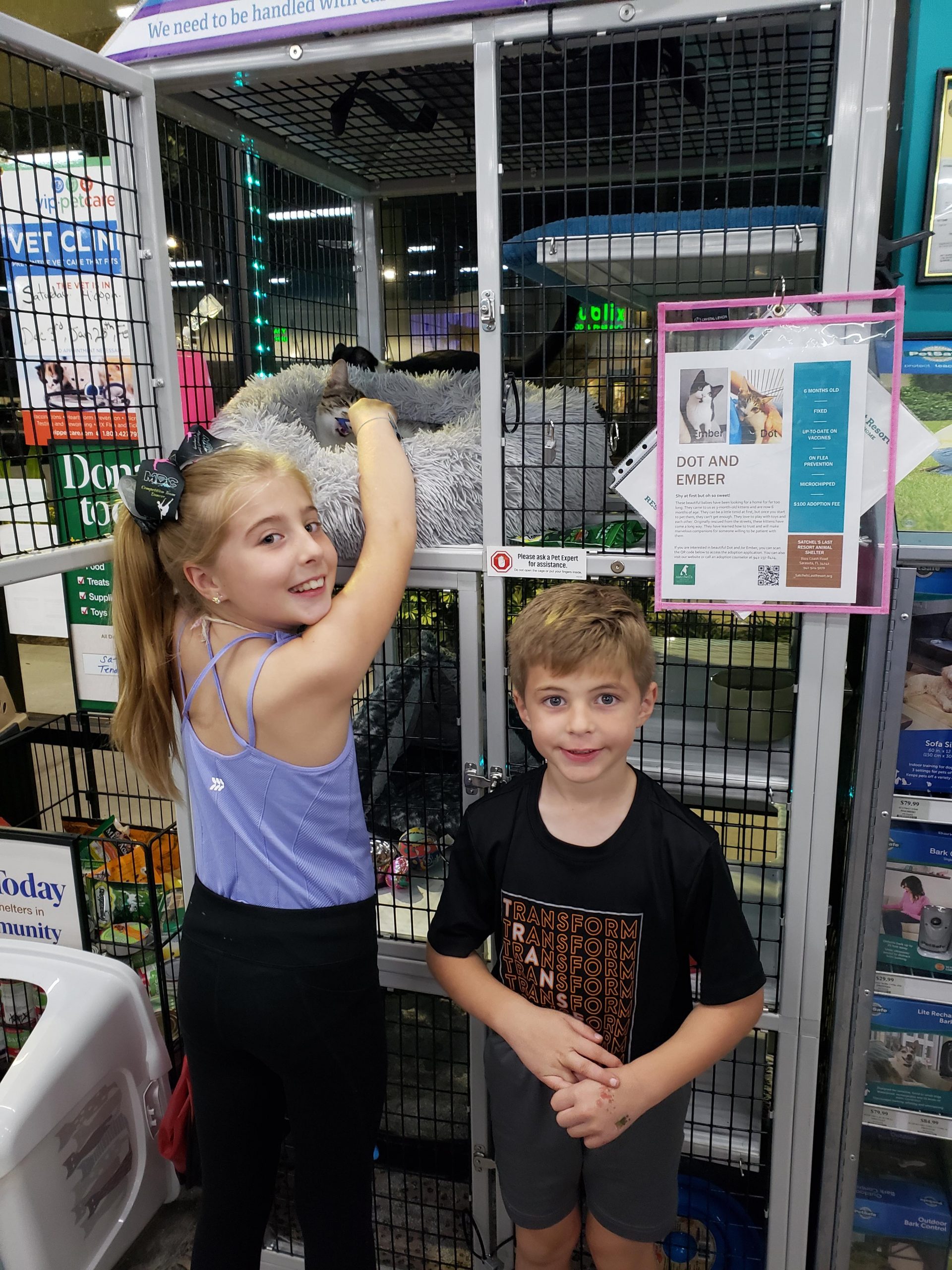 Dot on her bed in the cage on Pet Supermarket. Two new human siblings beside.