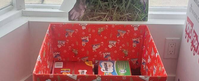 Holiday Donation Box with a cut out of Scarlett beside.