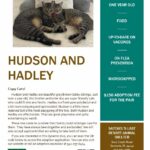 Flyer showing details for Hudson and Hadley