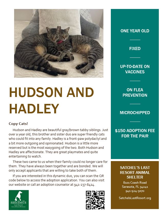 Flyer showing details for Hudson and Hadley