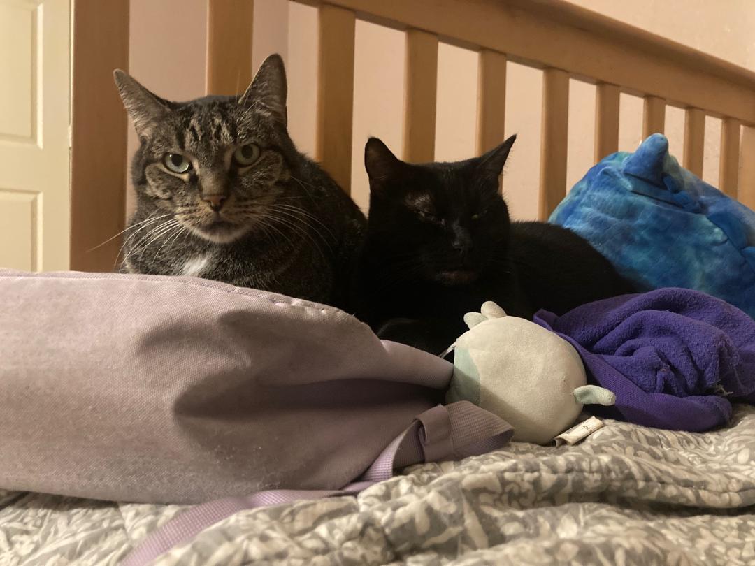 Stewie and Lewie laid on the bed together.