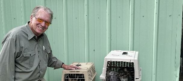 Milo and Zuma in crates with dad standing beside.