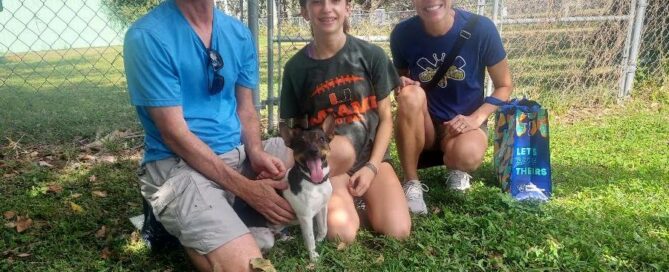 Pedro sitting on the grass on Satchel's with his new family.