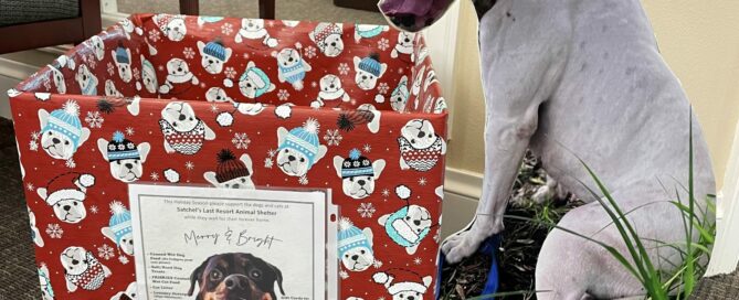 Holiday Donation Box with a dog silhoutte beside.