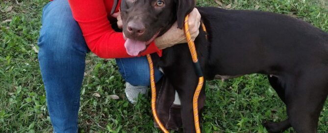 Willow standing beside her new mom, mom hugging her.