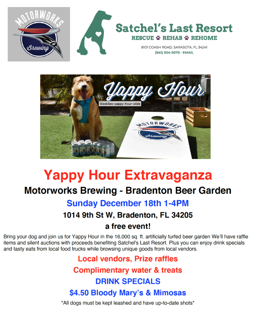 Flyer showing Yappy Hour details
