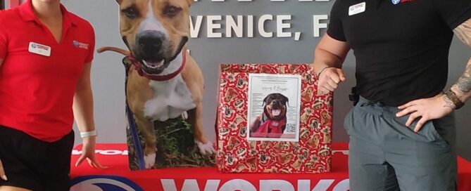 Satchel's Holiday Box and a dog cut out on a table with a 24/7 Workout Anytime cloth and 2 employees standing beside.