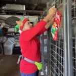 Amelia hanging a stocking