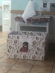 Holiday donation box in the lobby at Beach Vet.