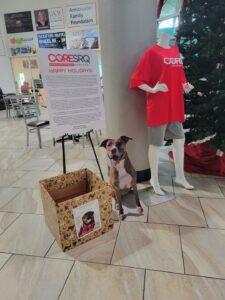Holiday donation with dog cutout beside in the lobby at CORESRQ, Euclid branch.