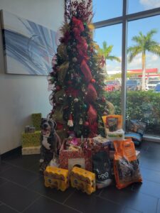 Donations in the holiday donation box and around the tree at Sunset Cadillac in Sarasota.