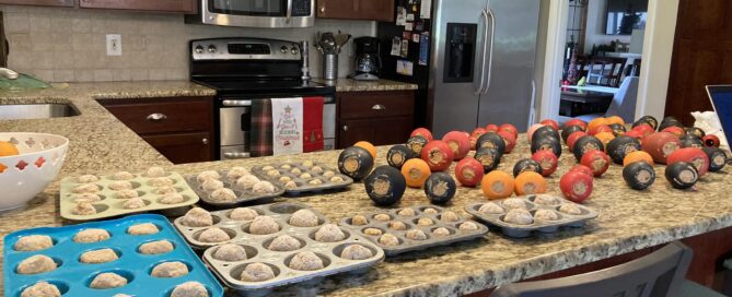 Kathy's kitchen counter full of tray fulls of doggie treats.