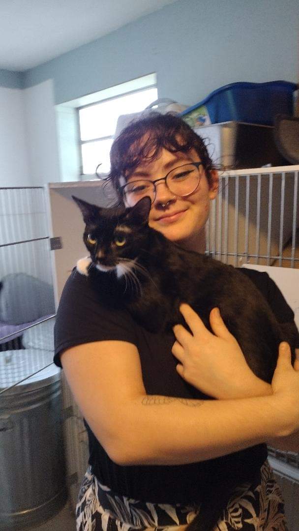 Smitten in the arms of her new mom in the cat room at Satchel's.