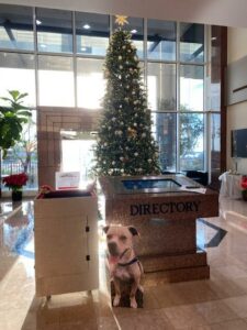 Donation box with Lorenza cutout beside in the lobby with the tree at One Sarasota Tower