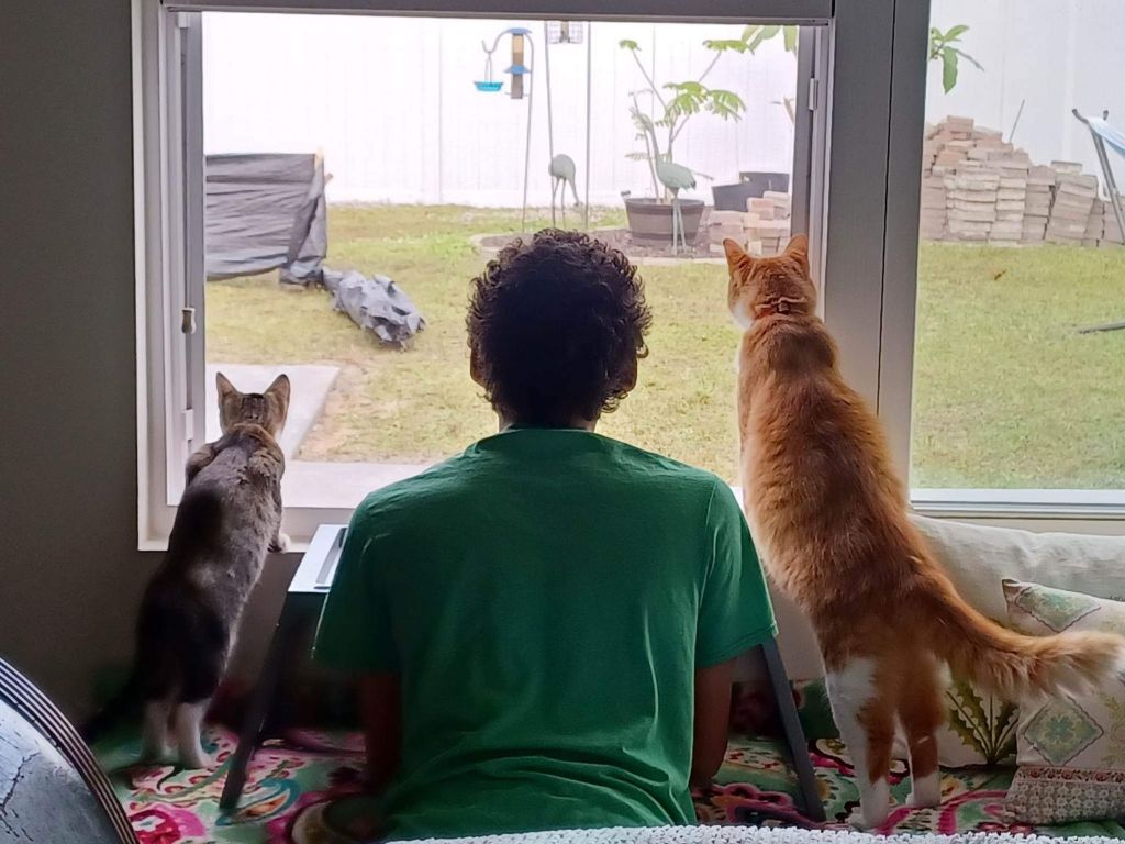 Rocket and Poe and human brother looking out of the window.