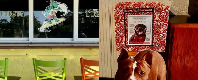 Holiday Donation box and cutout of Cowboy in the lobby at Thirsty Turtle.