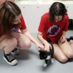 Aqua-tots members petting Bunny in our cat room.