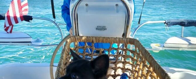 Creo in a basket in the boat. Roy at the helm.