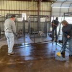 Volunteers cleaning the floor and getting ready to put a kennels into place.