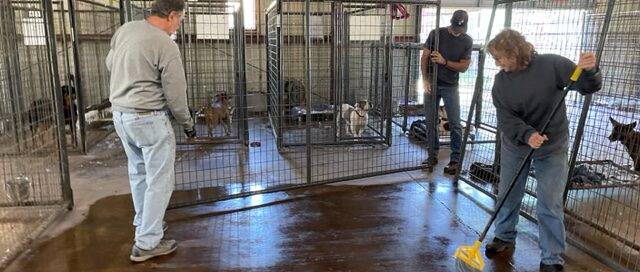 Volunteers cleaning the floor and getting ready to put a kennels into place.