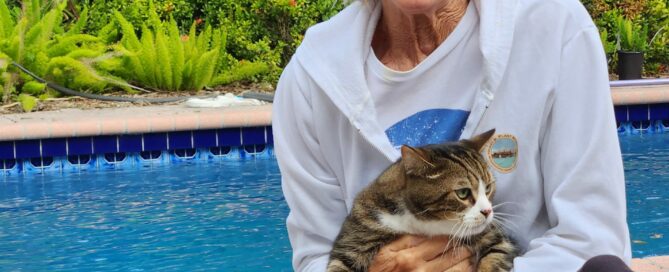 Munchkinon mom's lap and Kodi in a bed beside, pool in the background.