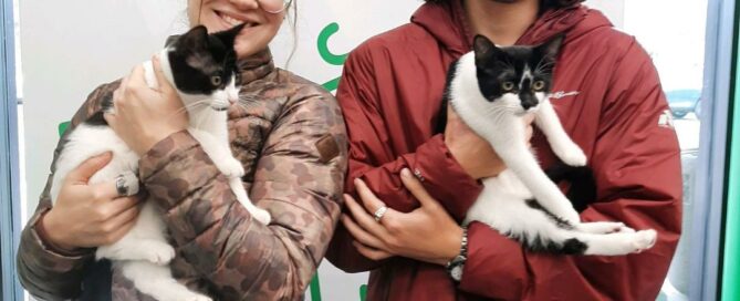 Maple and Mercy in the arms of their new mom and dad at Pet Supplies Plus.