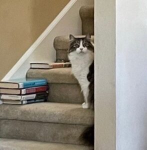 Obie peeping around the corner, sitting on the stairs.