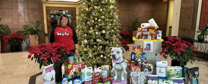 Lobby at One Sarasota Tower full with many donations surrounding the Christmas treet.