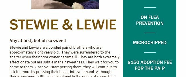 Flyer showing details for Stewie and Lewie.