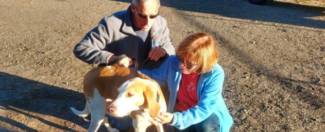 Wrigley standing with him new mom and dad outside Satchel's.