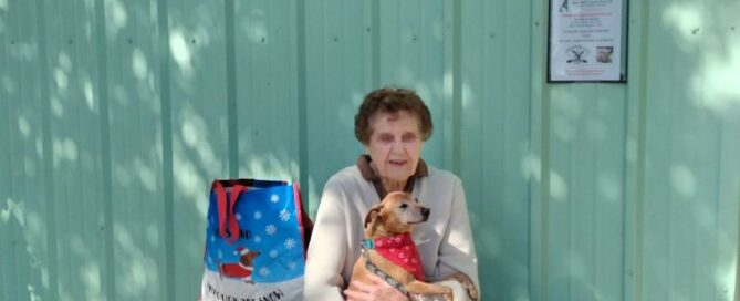 Brutus sitting on his mom's lap outside Satchel's.