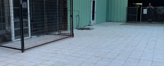 New screen and patio blocks outside the cat room door.