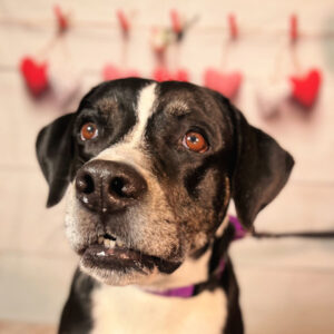 Facial view of Kelly looking sideways, hearts behind her.