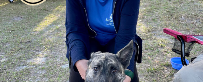 Lottie sitting with her Wof Pack leader Cindy behind her, Woof Pack branding on the side.