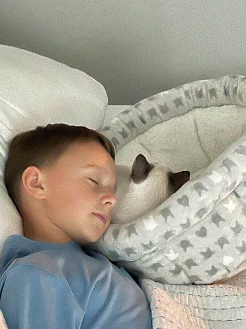 Macy (Luna) sleeping in a cat bed beside her sleeping human brother on his bed.