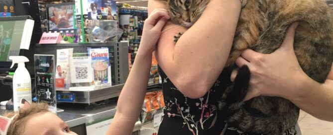 Mitzie in the arms of her new mom at the store, with new human sister by their side.