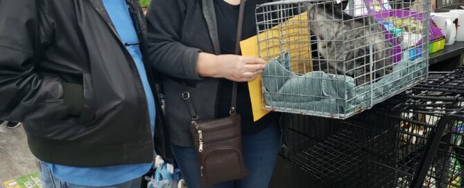 Natasha in a carrier with new mom and dad standing beside in Pet Supermarket.