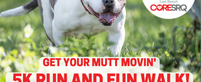 Get Your Mutt Movin' flyer showing date and time and other information.