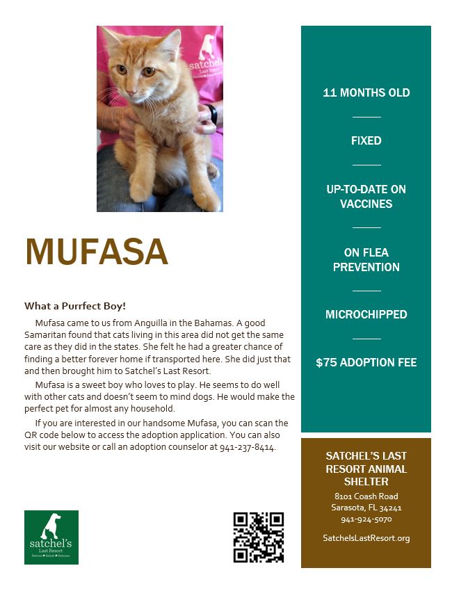 Flyer showing Mufasa pic and some information.