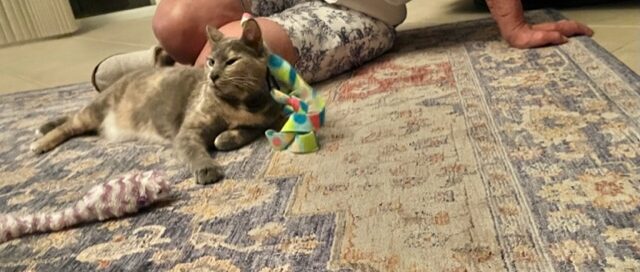 Muneca laid on the floor, mom beside her scratching her with a feather.