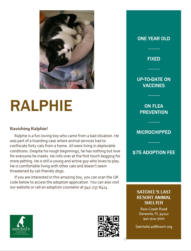 Flyer with Ralphie's picture and profile.