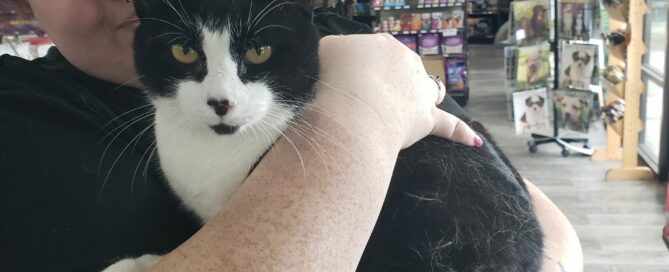 Store clerk at Pet Supermarket holding Ralphie.