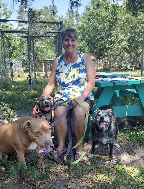 Misty sitting in the yard at Satchel's with her new mom and 2 canine siblings.