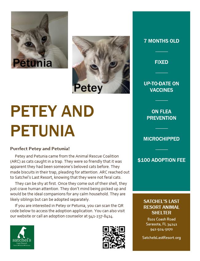 Flyer describing Petey and Petunia.