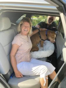 Cowboy sitting in the back of the vehicle with his new mom ready to head to his forever home. Dad staning beside.