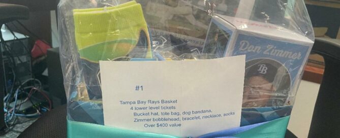 Basket showing items in the Tampa Bay Rays basket.