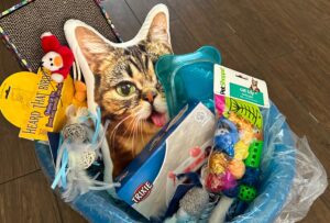 Raffle basket of cat items